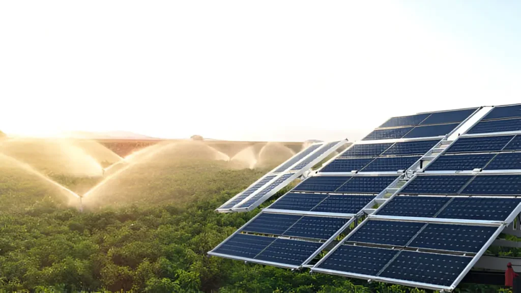 Impact On Ghana's Agriculture